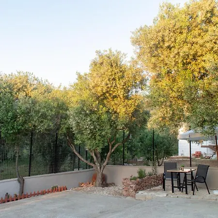 Garden View *